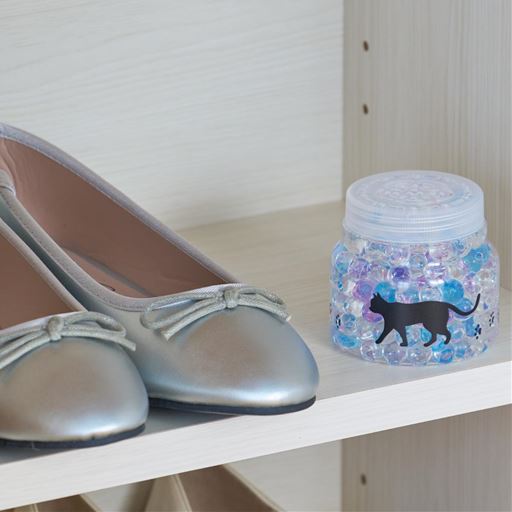 C(ブルーミックス) 玄関に