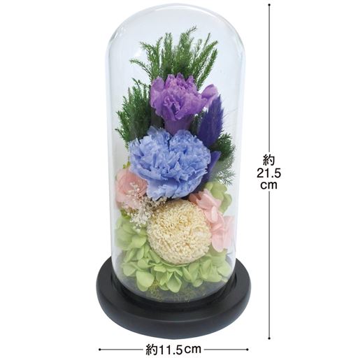 A(ミックス)<br>サイズ寸法