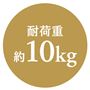 耐荷重 約10Kg