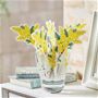 C (フラワーセット) ミモザ<br>※コップは商品に含まれません。