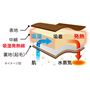 吸湿発熱のイメージ<br>※使用感には個人差があります。