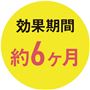 効果期間約6ケ月