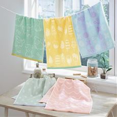 デイリータオルセット