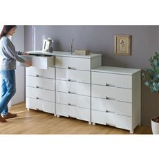 フィッツチェスト