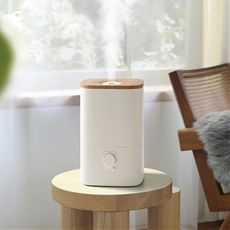 ハイブリッド加湿器(ウッドモイスト)