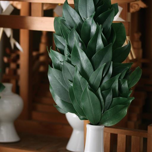 プリザーブド榊(一対)