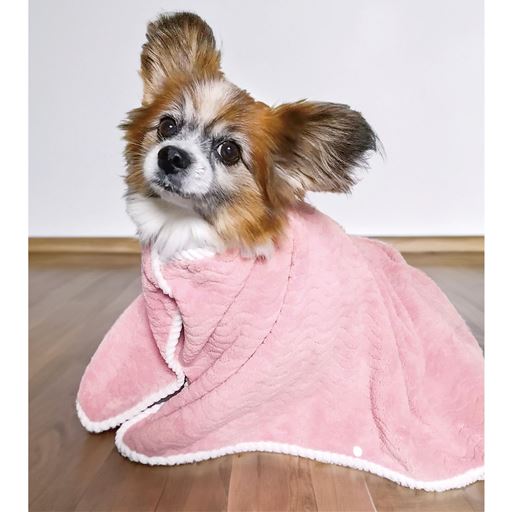 ピンク A (おくるみ) <br>抗菌防臭加工付きのペット用マイクロファイバー吸水タオルです。