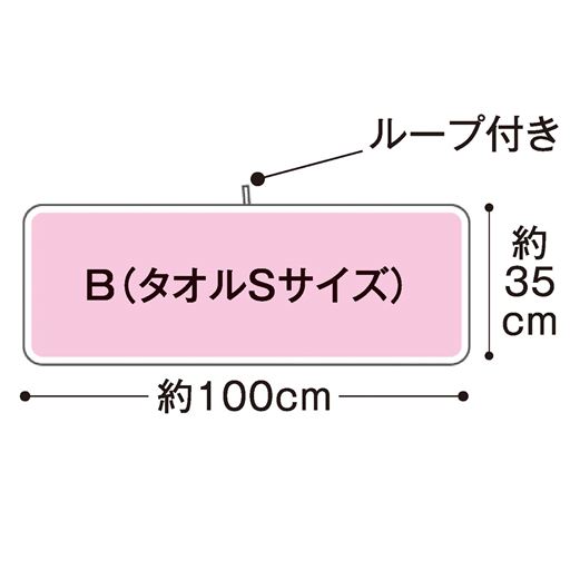 B (タオルSサイズ)<br>サイズ寸法