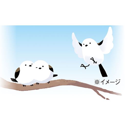 サラッとした肌ざわりのよい生地とふんわりとした低反発クッション入りで、快適な座り心地。<br>※イメージ