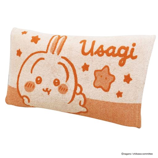 ページュ(うさぎ) &copy;nagano / chiikawa committee
