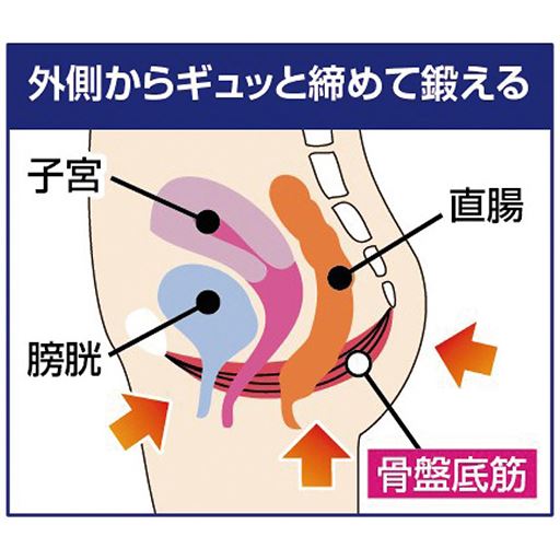 骨盤底筋とは 骨盤の底にある筋肉の総称。臓器を支えながら排泄のトレーニングを行っています。筋力低下などでゆるんでいくため、日々の生活の中で鍛えることをおすすめします。