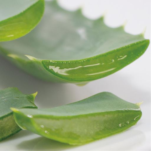 かかと部分にはアロエ繊維モイストを使用。