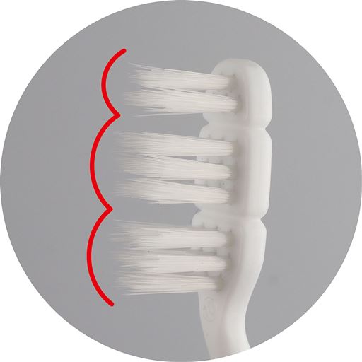 3つの毛束がすき間汚れをスッキリ! 毛が歯間に入り込み、すき間汚れが落ちやすい。さらに毛束が分かれていることで毛根が乾きやすい!