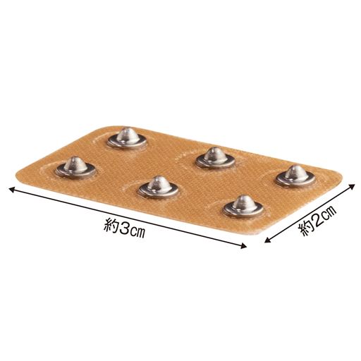 6つの粒が1枚に!