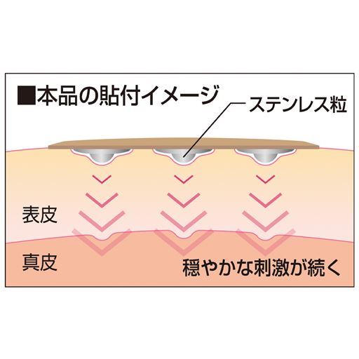 本品の貼付イメージ