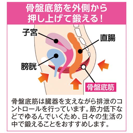 骨盤底筋を外側から押し上げて鍛える!