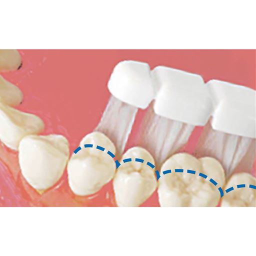 3つの毛束がすき間汚れをスッキリ! 毛が歯間に入り込み、すき間汚れが落ちやすい。さらに毛束が分かれていることで毛根が乾きやすい!