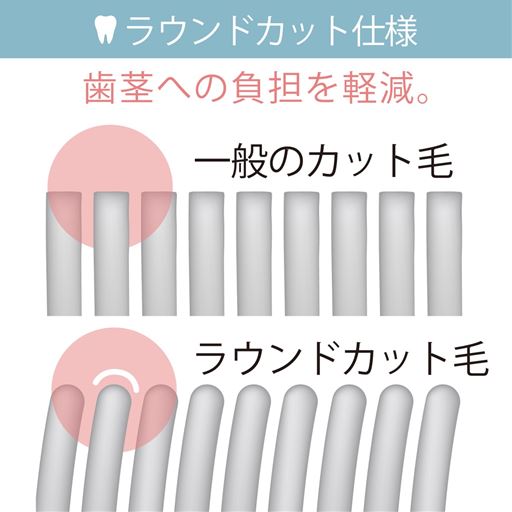 ラウンドカットで歯茎への負担を軽減。