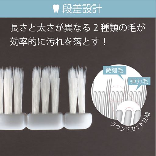長さと太さが異なる二種類の毛が効率的に汚れを落とします。