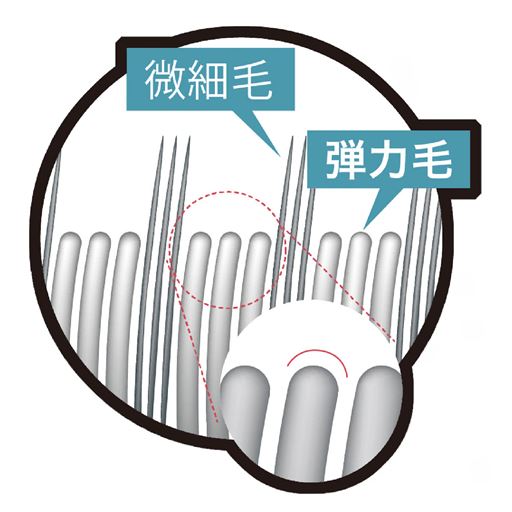 段差設計で効率よくキレイに! 長さと太さが異なる二種類の毛が効率的に汚れを落とします。
