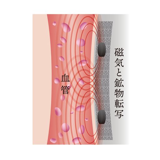 ※イメージ図 4つの永久磁石で腰部のこり、血行の改善!