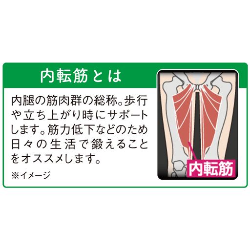 内転筋とは?