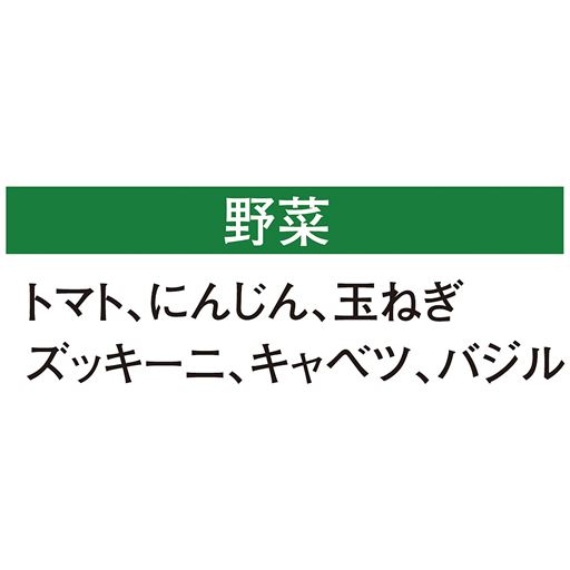 トマト、にんじん、玉ねぎ、ズッキーニ、キャベツ、バジル