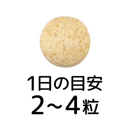 1日の目安:2～4粒