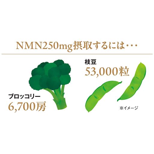 NMN250mg摂取するには…