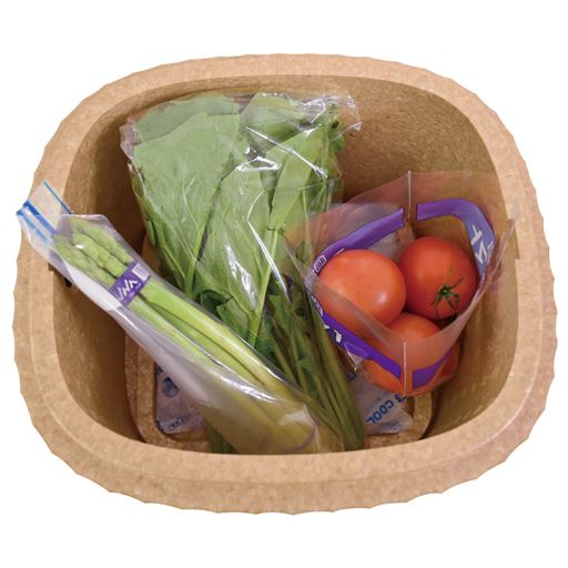 停電対策 クーラーボックスとして、冷蔵庫の食材の避難に使える。