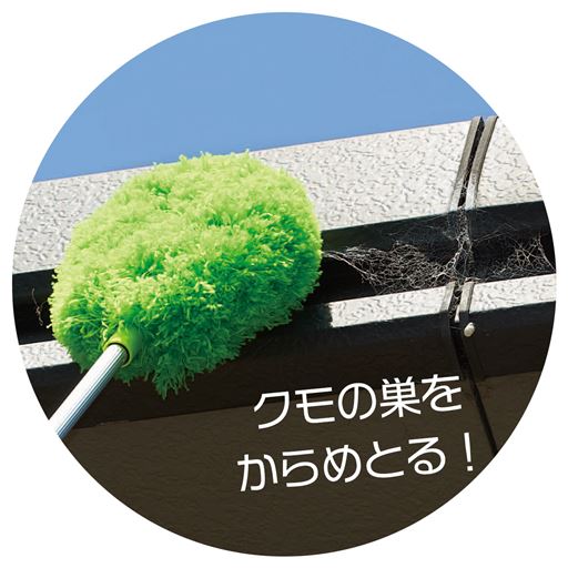 軒下のクモの巣をからめとる!