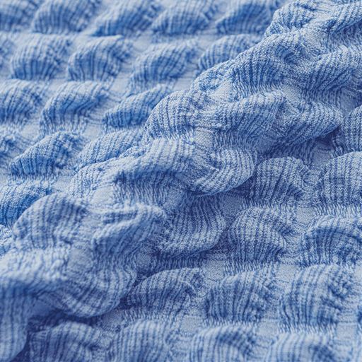 生地拡大<br>ブルー