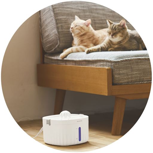 流れているのをついつい見ちゃうにゃあ