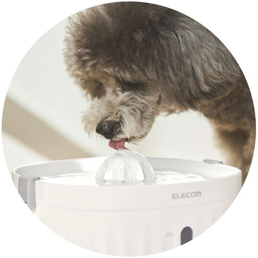 飲みやすいキレイなお水を!