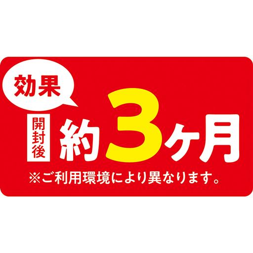 ※ご利用環境により異なります。