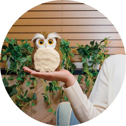 かわいい小ぶりなサイズ!一緒に遊んでふれあって、開運生活を楽しみましょう!!