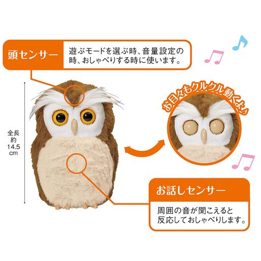 ハッピーになるお話や運を引き寄せるアドバイスが盛りだくさん!