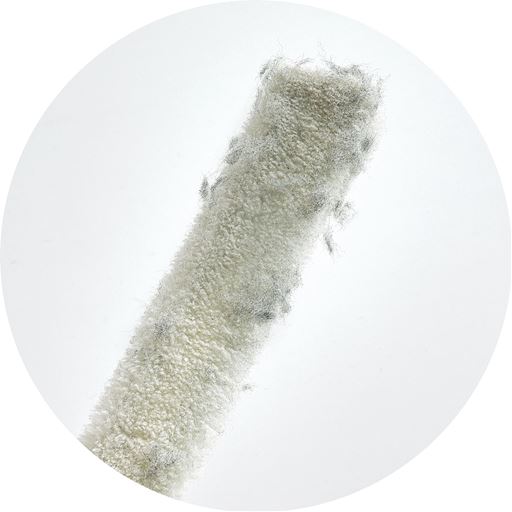 こんなにとれる