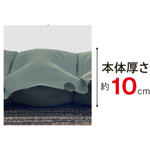 本体厚さ約10cm
