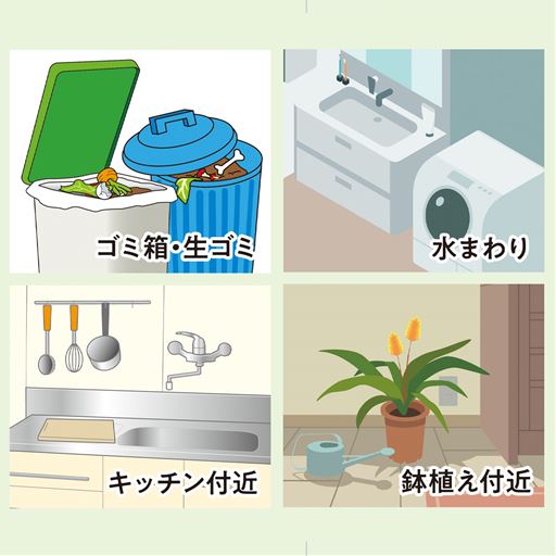 安心・安全  自然由来