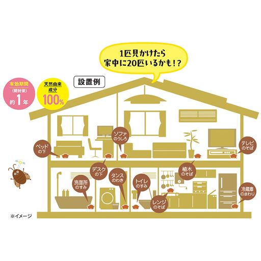 手間は年1回だけ!置くだけで退治<br>タマネギの香りで誘い、ホウ酸で退治。