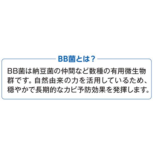 BB菌とは?