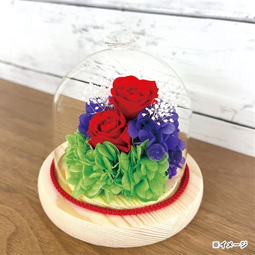 リビング、玄関、寝室などに