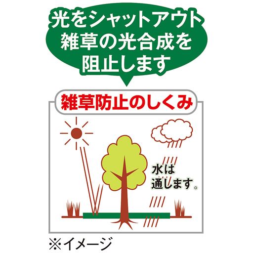 ・薬剤を使わずに光をカット環境にとても優しいシートです ・透水性に優れ、シートをかぶせていない部分の植物への影響はありません