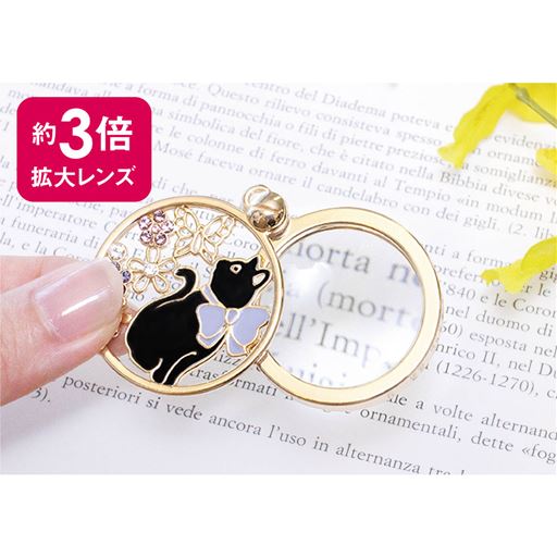 スライドしかざすだけ。チェーンから取り外しも簡単。<br>A(黒猫)