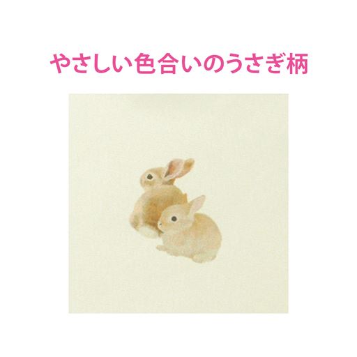 生地拡大 <br>E(ウサギ)