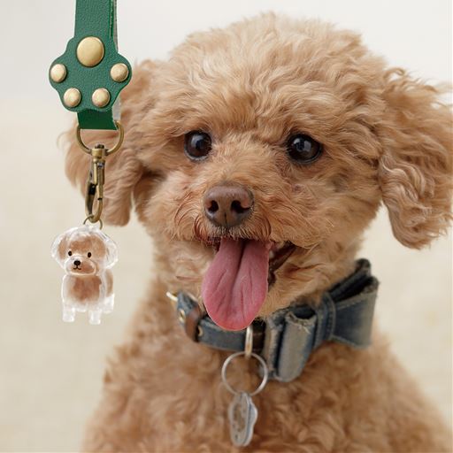 一緒にお出かけ♪