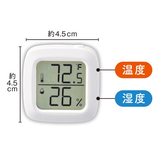 サイズ