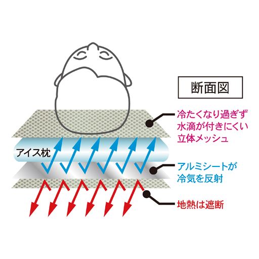 断面図