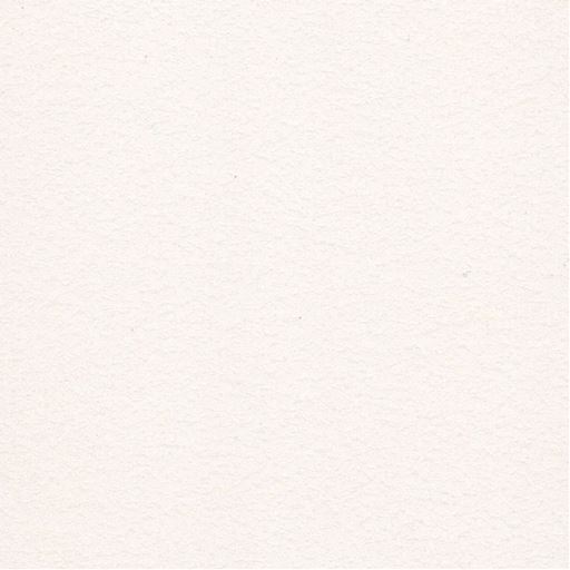 【ホワイト系】前面